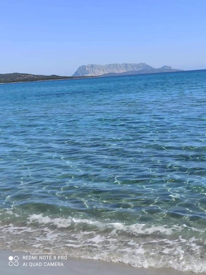 Sa Tanca De Su Mare Acomodação com café da manhã Budoni Exterior foto